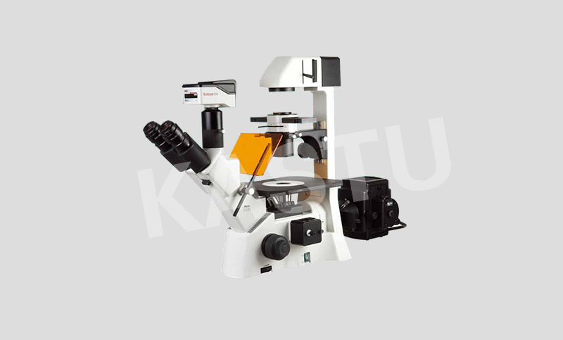 荧光生物显微镜