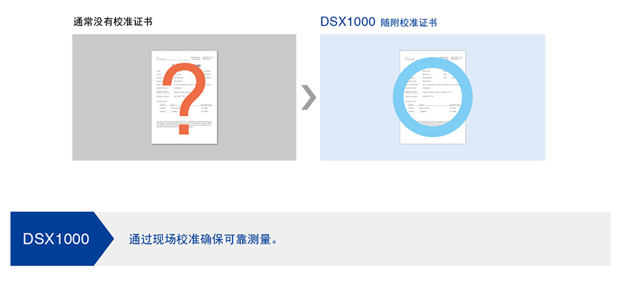 DSX1000-9_09.jpg