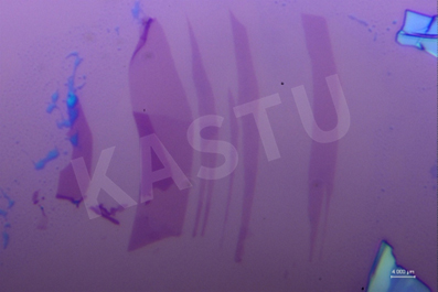 苏州卡斯图MIR100近红外显微镜如何揭...