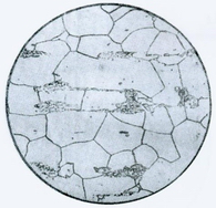 1592213755.png 3.png